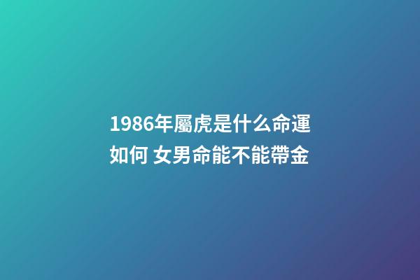 1986年屬虎是什么命運如何 女男命能不能帶金